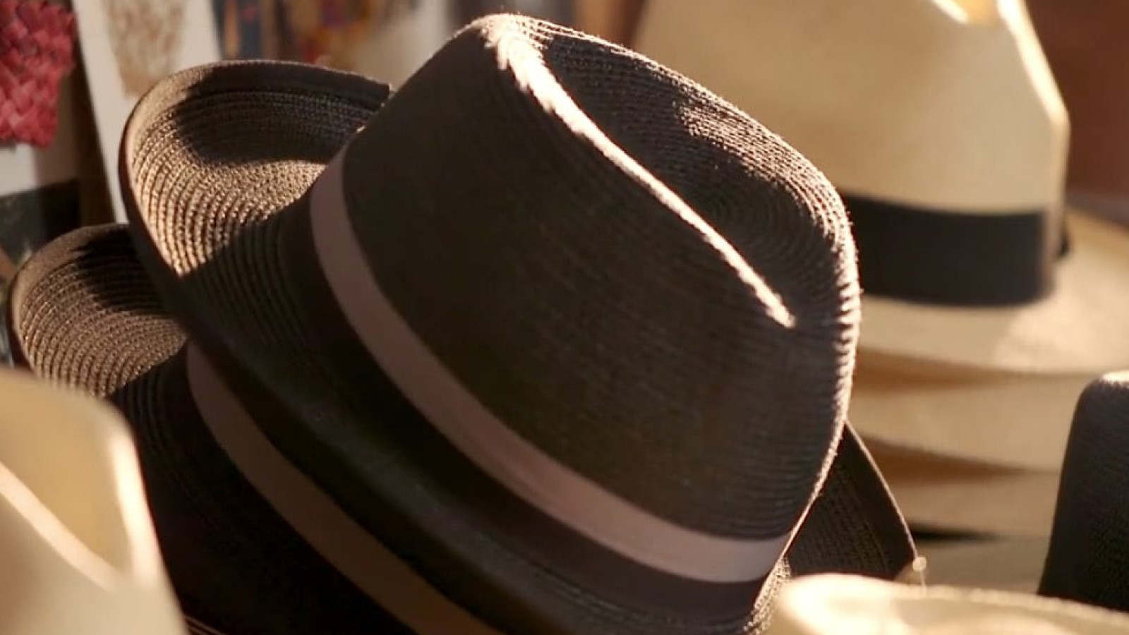 How I was able to bring my ideas to life on a Churchill Fellowship